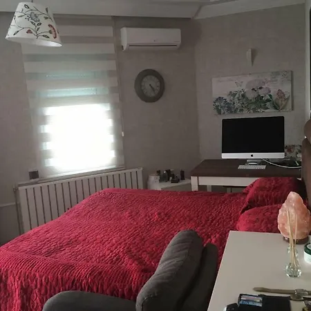 Marmara Villa, Amazing Sea View فيلة بيوكجكمجة